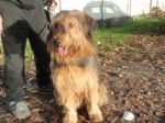 JACK_pastbergamasco