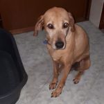 LEON_4