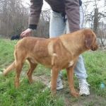LUCKY_novara3