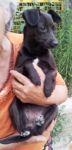 Lisetta3-704475