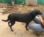 Lusy2008132