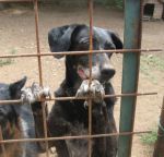 Lusy2008134