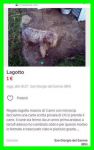 MASCIO2