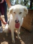 MATILDE3