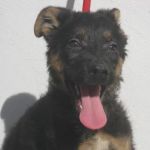 MAX_ferentino3