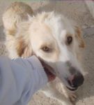 MIKY1