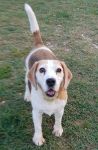 MOLLY_3_copy