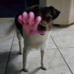 Margot_testimonianza_2