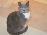 Miaomiao14