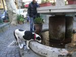 Milka_e_la_sua_nuova_vita_al_rifugio2__tendi_la_zampa