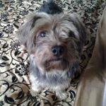 Mitzy_testimonianza1