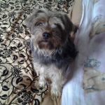 Mitzy_testimonianza2