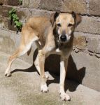 Morgan_ex_cinodromo_21.3.2013_n._3