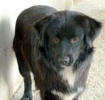 NERONE_caserta