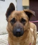 Nella