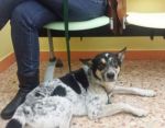 Nello