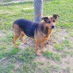 OTTAVIA_1