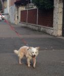 Pina_e_Oreste_2