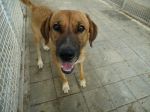 RENATO_677_2