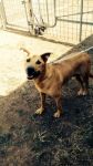Rudy2_copy
