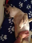SPOTTY_venezia3