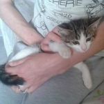 STELLINA_4_copy_copy