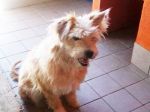 STING_153817