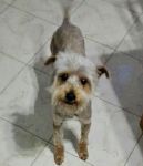 SWIFFER2