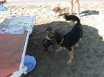 Sandy_e_maria_grazia_1