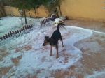 Sandy_e_maria_grazia_2