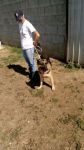 Siria2