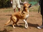 Susy200813
