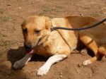 Susy2008131
