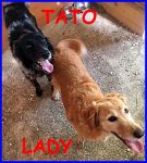 TATO-LADY_1