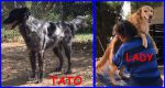 TATO-LADY_3
