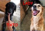 TATO-LADY_4