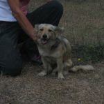 TIPPETE_4