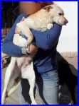 TRUDY-NEW_3