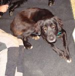 TRUDY-SMARRITA_1