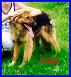 TUCK_1_copy