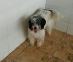 Terry2