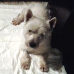 Tonino_5