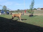 agostino_3