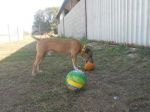 agostino_5