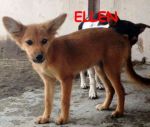 alice_ellen3