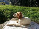 amy_e_Luisa_3