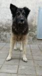 argo_3