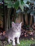 arya_per_web-1
