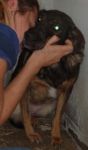 astrid1