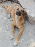 astrid_1